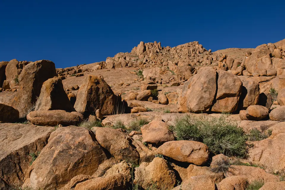 266-Namibia2026.jpg