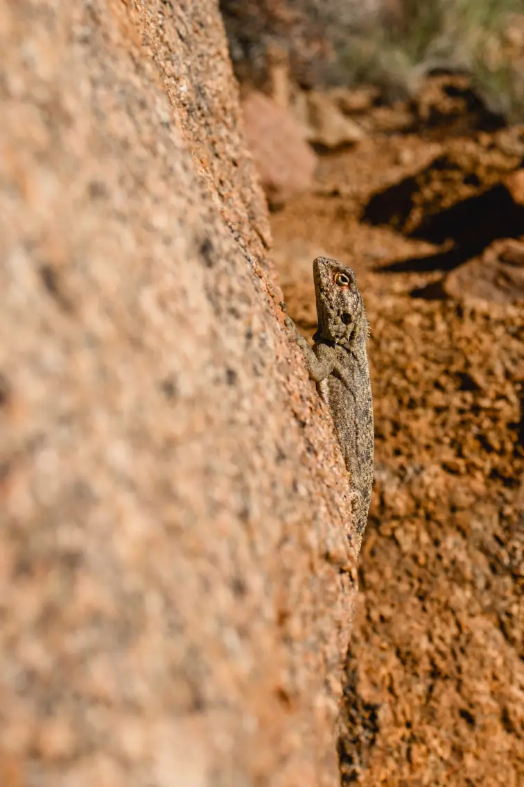 269-Namibia2026.jpg