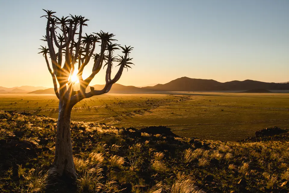 290-Namibia2026.jpg
