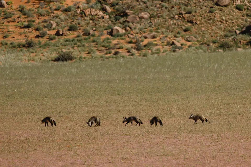 292-Namibia2026.jpg