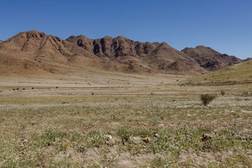 293-Namibia2026.jpg