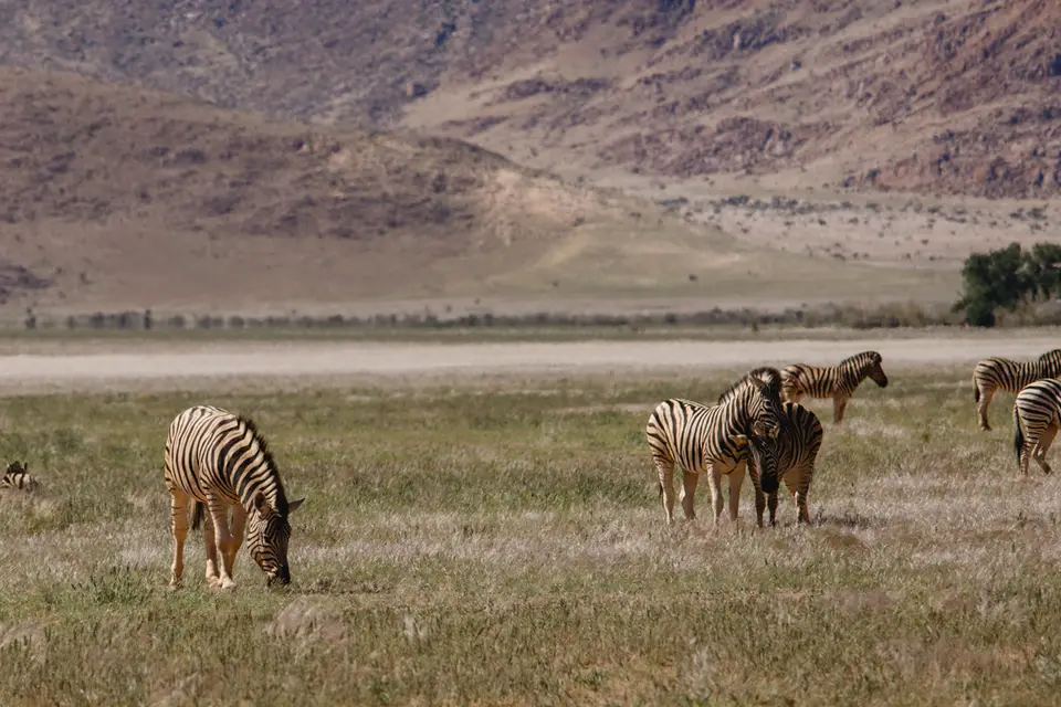 294-Namibia2026.jpg