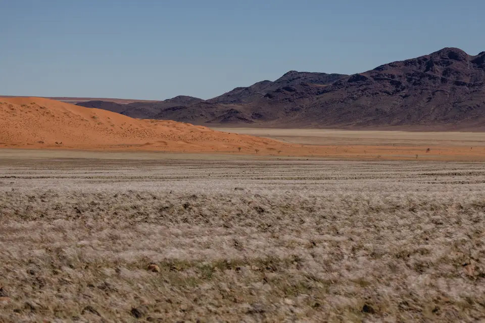 296-Namibia2026.jpg