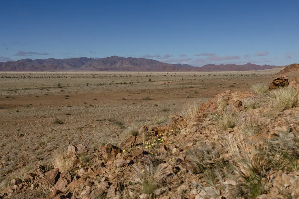 306-Namibia2026.jpg