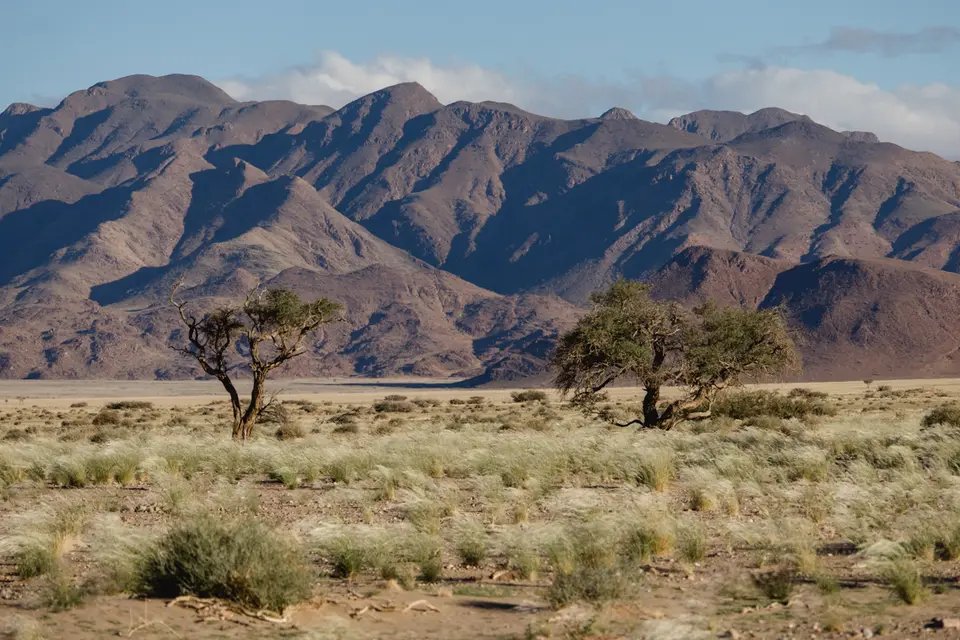 318-Namibia2026.jpg