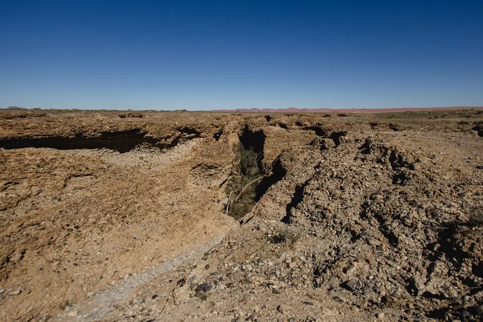 339-Namibia2026.jpg