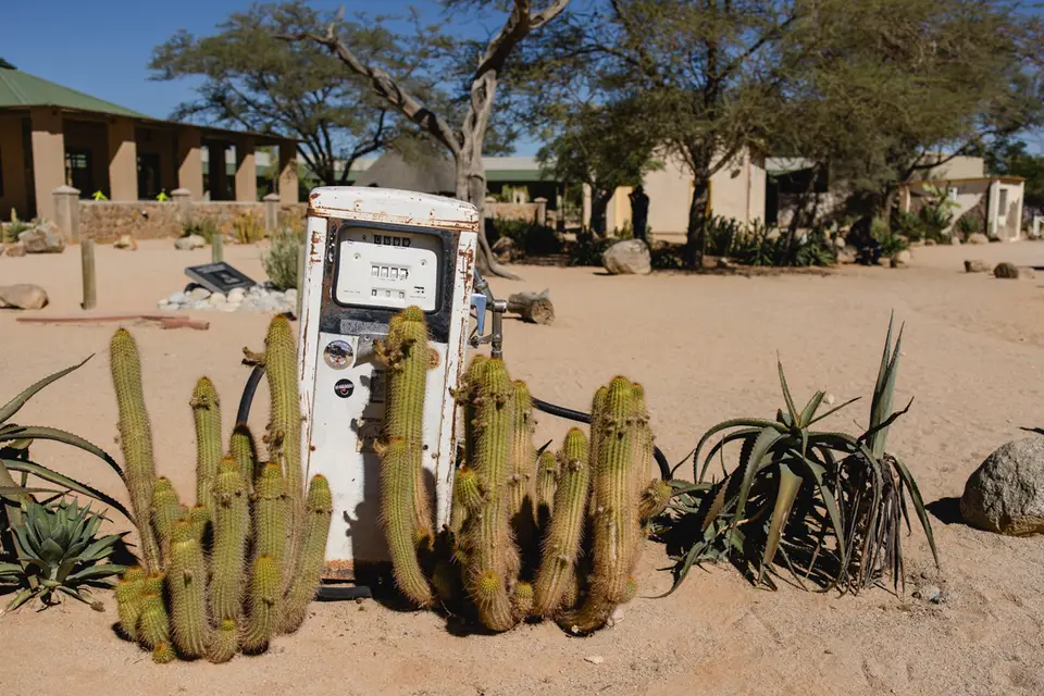 353-Namibia2026.jpg