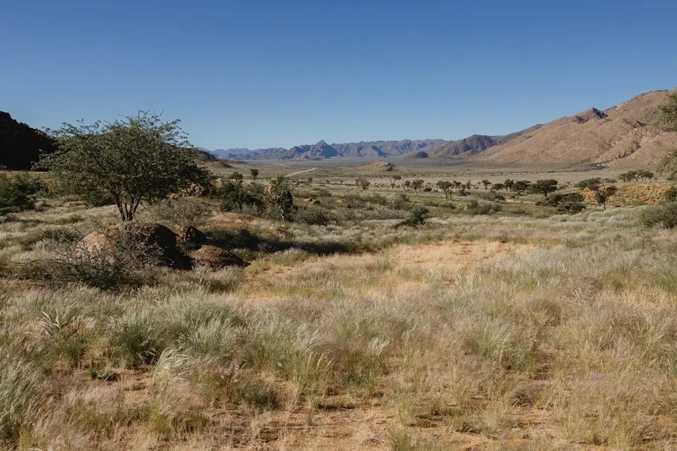 356-Namibia2026.jpg