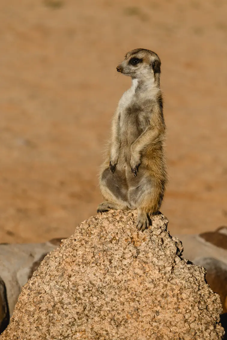 368-Namibia2026.jpg