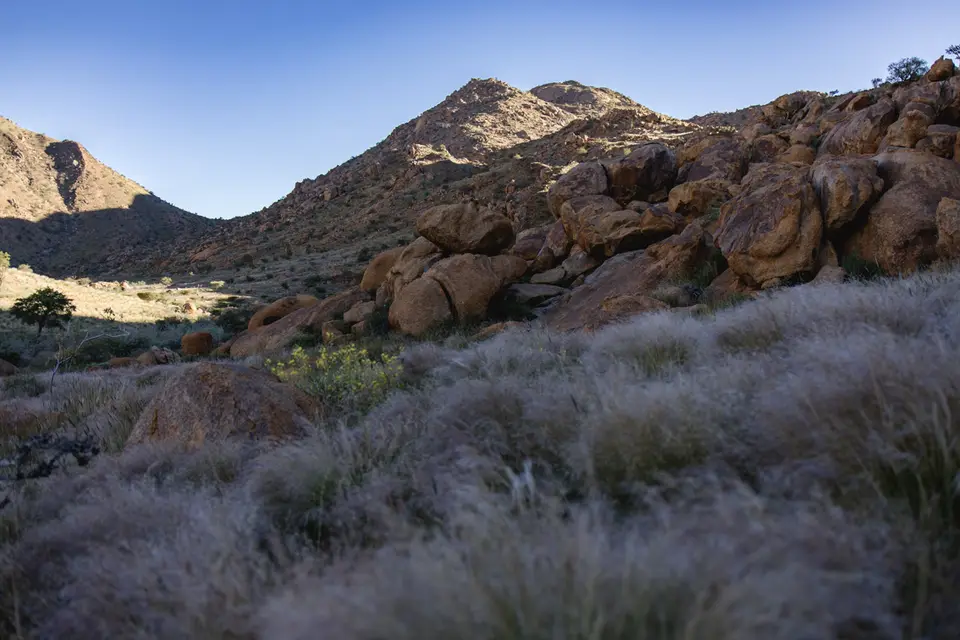 375-Namibia2026.jpg