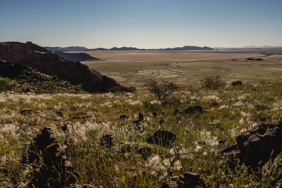 386-Namibia2026.jpg
