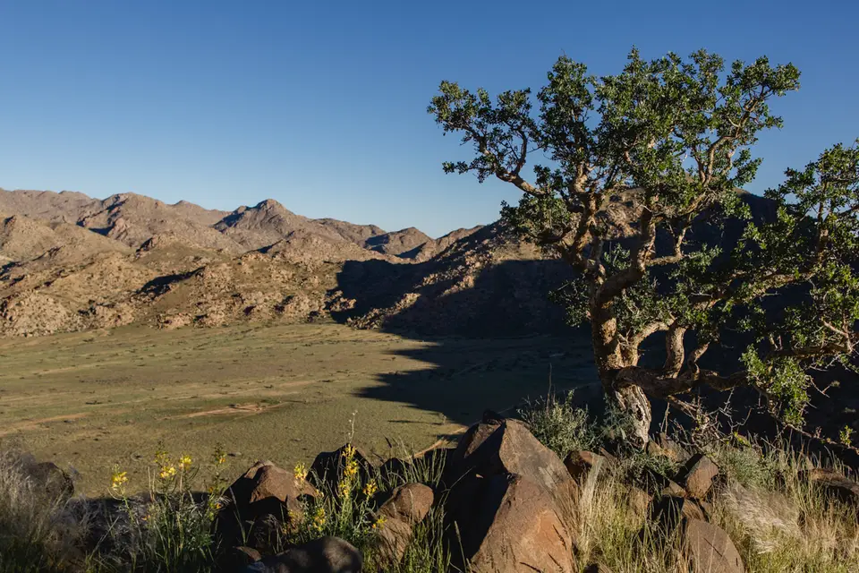 389-Namibia2026.jpg