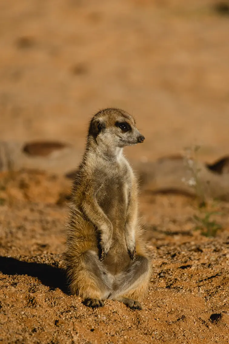 399-Namibia2026.jpg