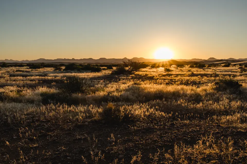 640-Namibia2026.jpg