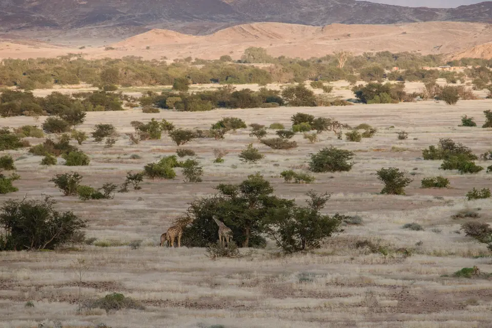 648-Namibia2026.jpg