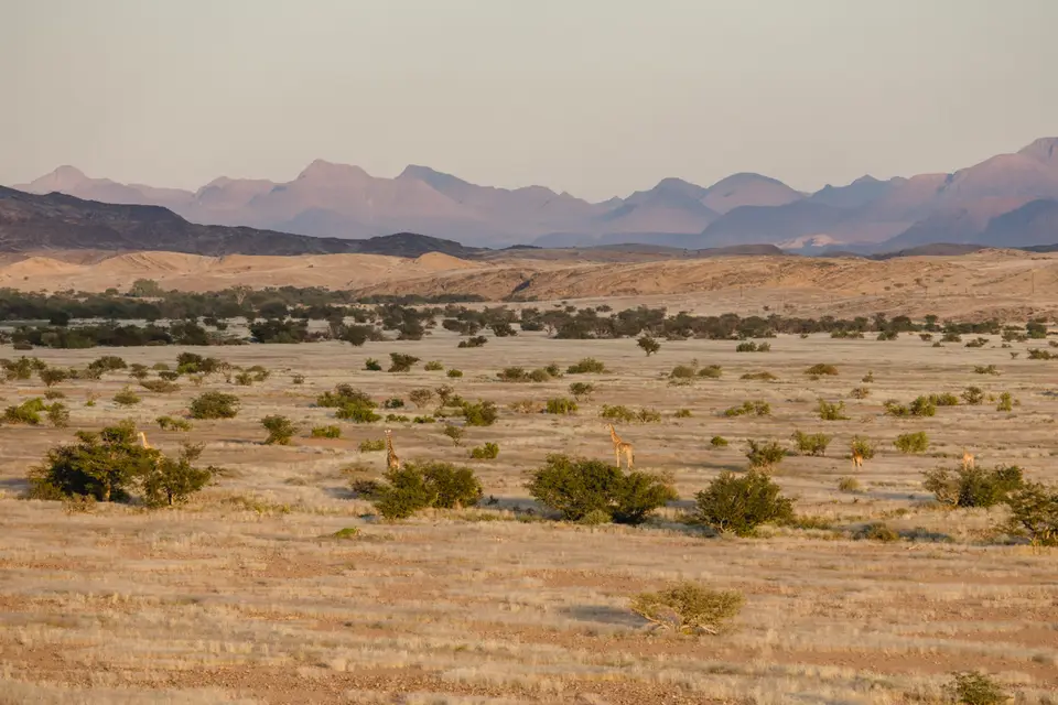 649-Namibia2026.jpg