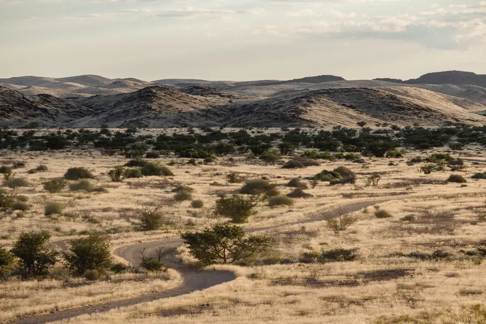 650-Namibia2026.jpg