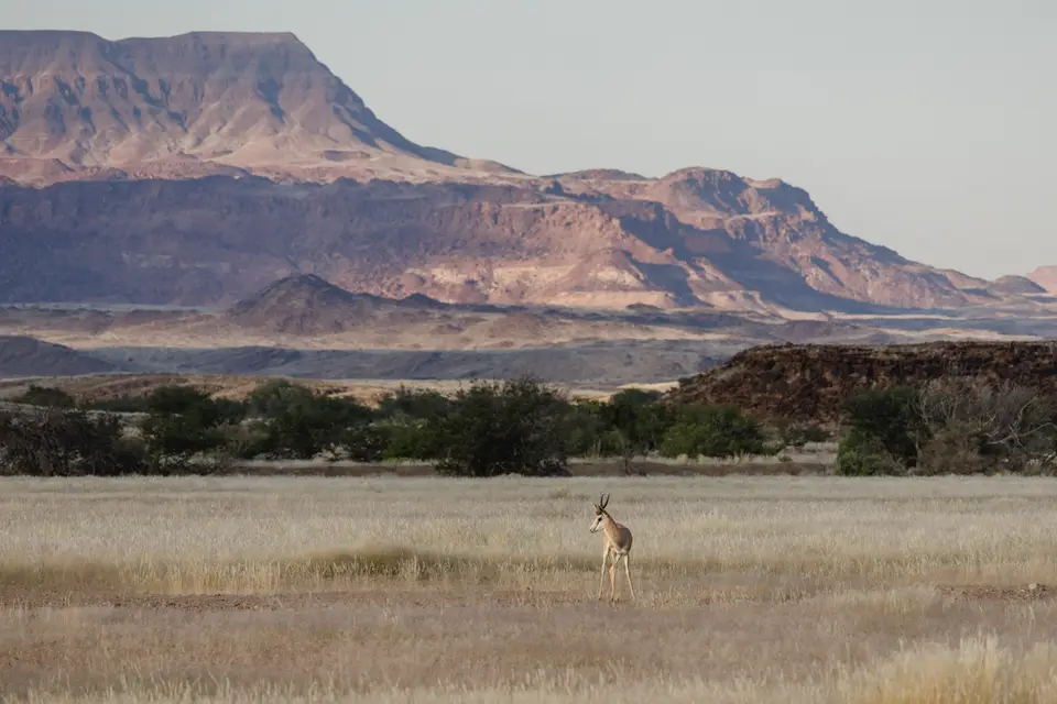 652-Namibia2026.jpg