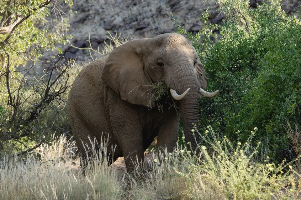 655-Namibia2026.jpg