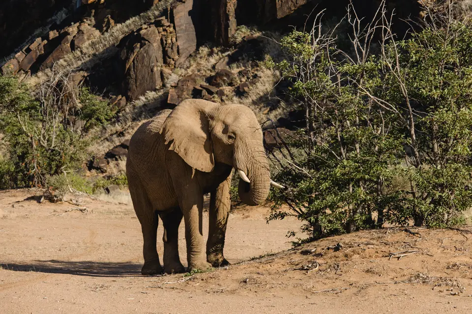 659-Namibia2026.jpg