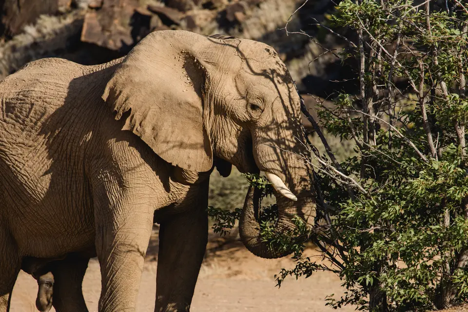 660-Namibia2026.jpg