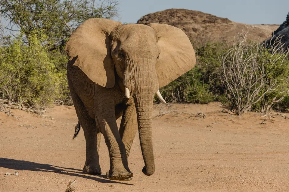 661-Namibia2026.jpg
