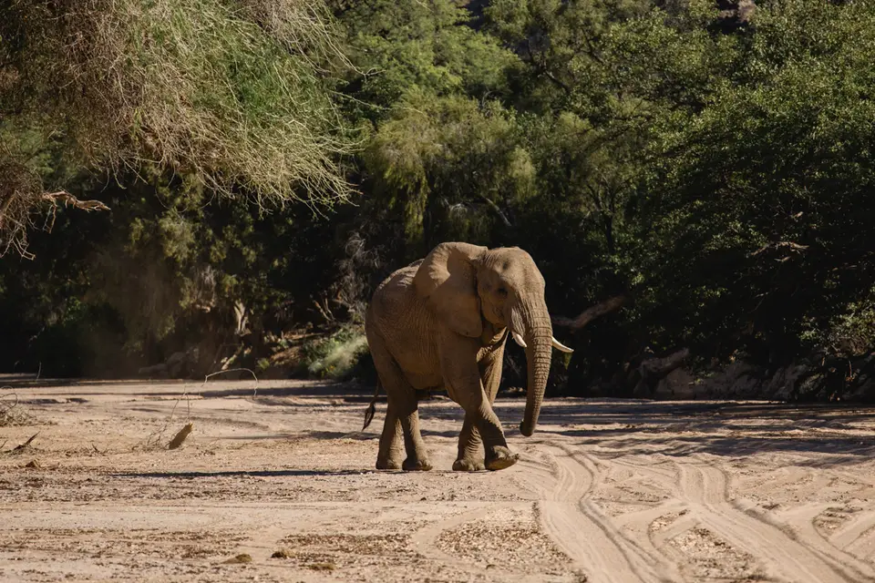 670-Namibia2026.jpg