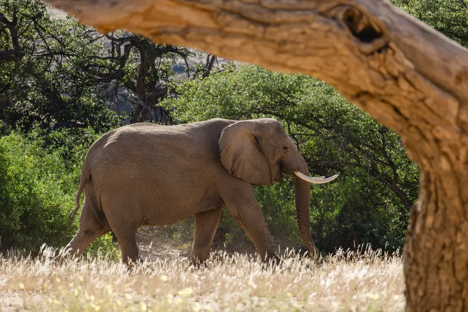 674-Namibia2026.jpg