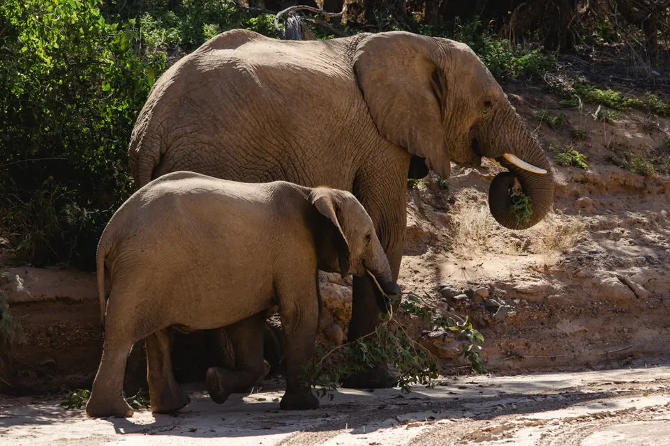 680-Namibia2026.jpg