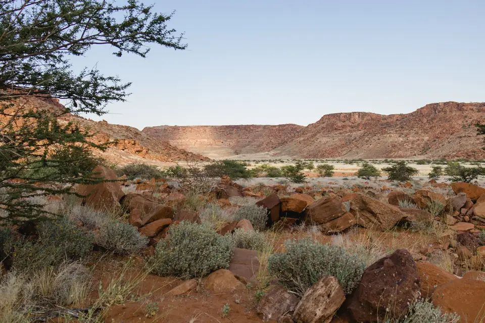 698-Namibia2026.jpg