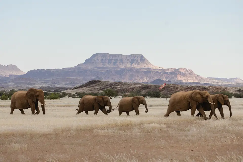 707-Namibia2026.jpg