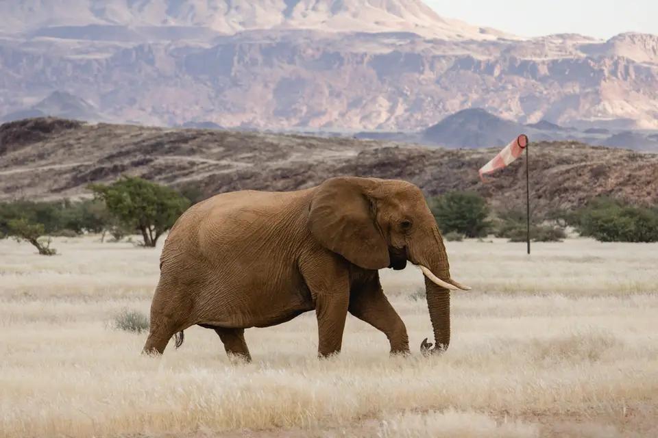 708-Namibia2026.jpg