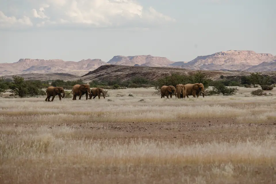 709-Namibia2026.jpg