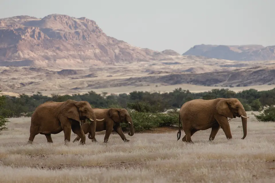 710-Namibia2026.jpg
