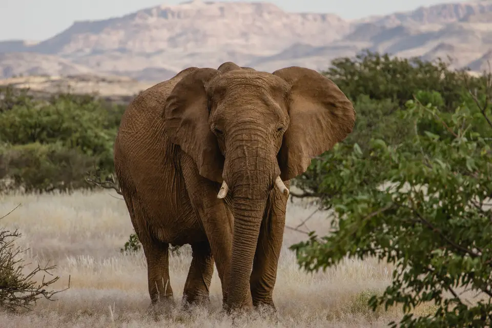 711-Namibia2026.jpg