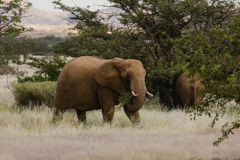 712-Namibia2026.jpg