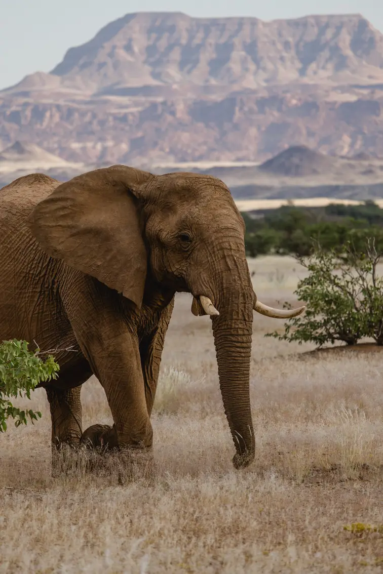 713-Namibia2026.jpg