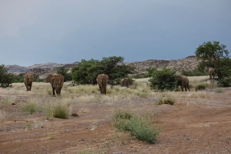 716-Namibia2026.jpg