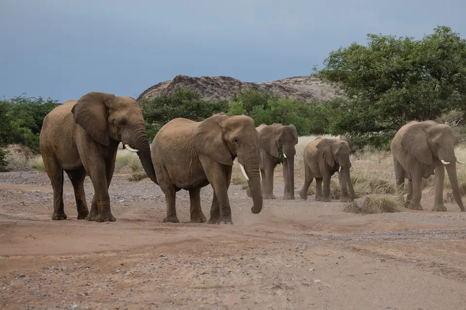 718-Namibia2026.jpg