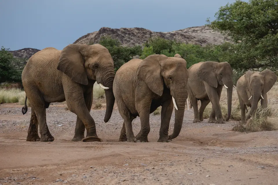 719-Namibia2026.jpg