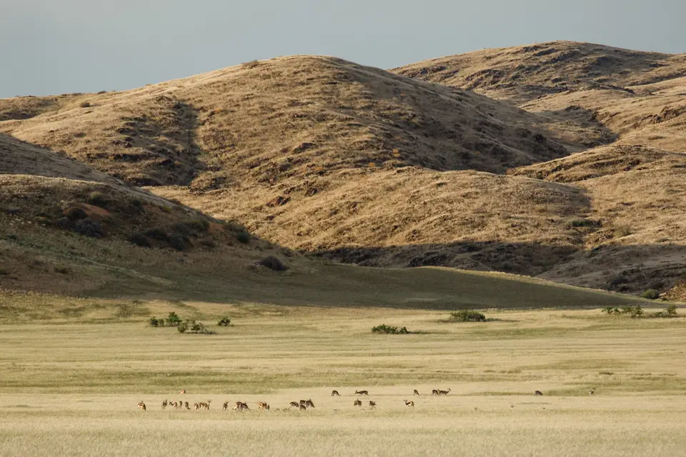 721-Namibia2026.jpg