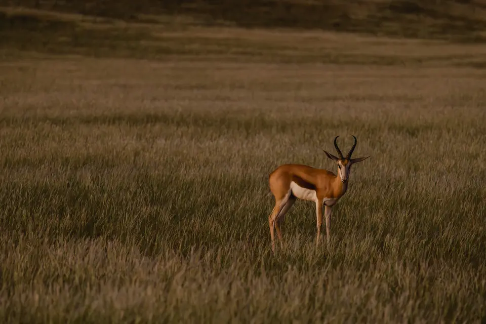 743-Namibia2026.jpg