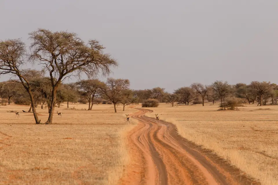 Namibia-10.jpg