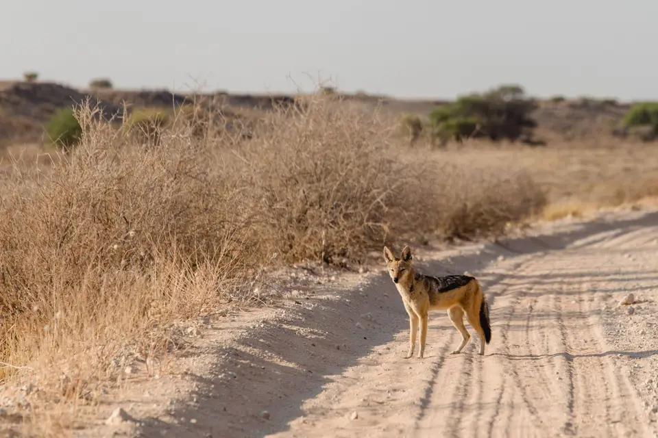 Namibia-100.jpg