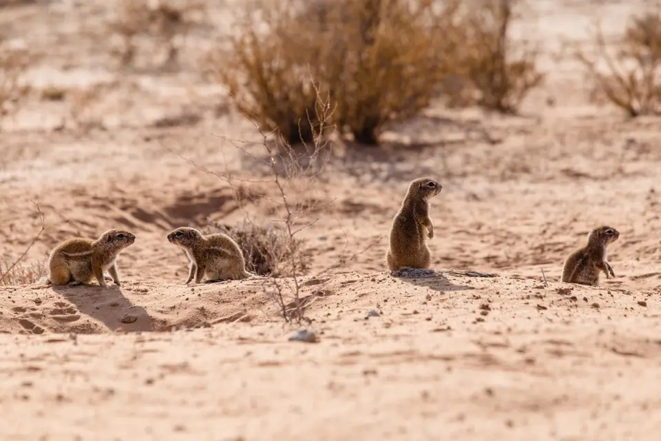 Namibia-102.jpg