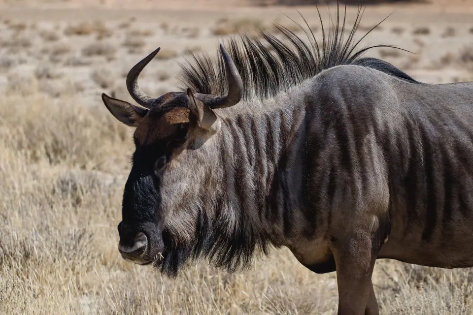 Namibia-103.jpg