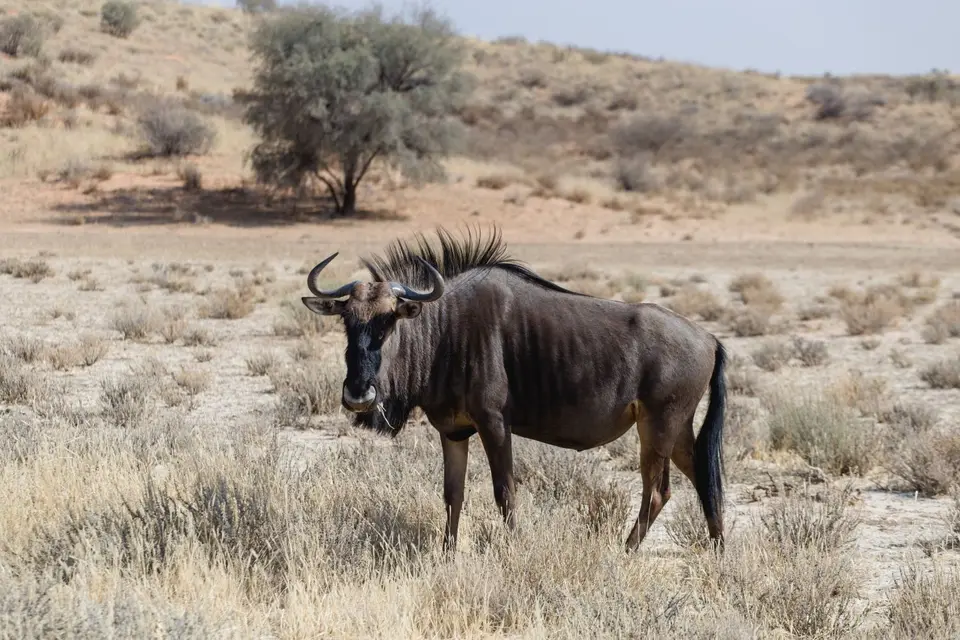 Namibia-104.jpg
