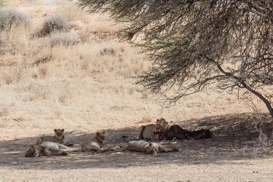 Namibia-109.jpg