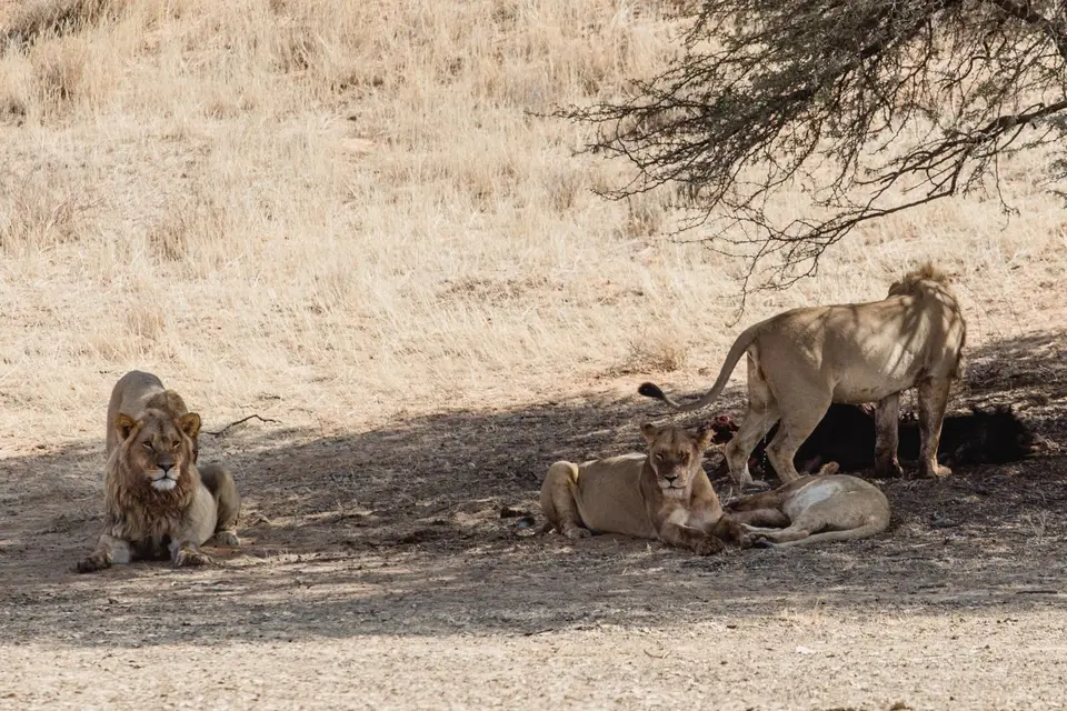 Namibia-110.jpg