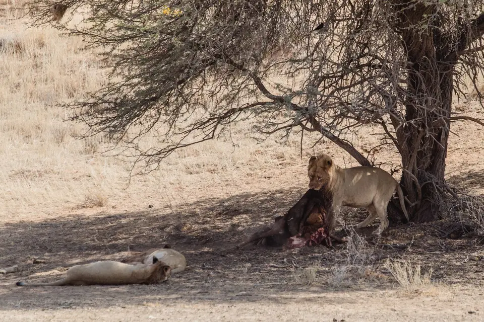 Namibia-111.jpg